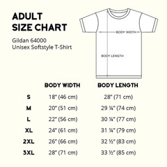 Ancient Egypt Hieroglyphics T-Shirt, Egyptian Pyramid History Kemetic Gift Idea