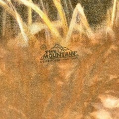Vintage 90’s The Mountain Tie Dye Deer T-Shirt – XL