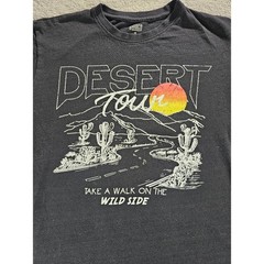 Brisco Brands Desert Tour Graphic T-Shirt Black Wild Side Road Trip Mens Medium
