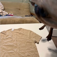 Men’s Beige Striped T-Shirt