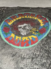 Vintage 1995 Grateful Dead Bertha T Shirt Brockum AOP Acid Wash Skull Roses