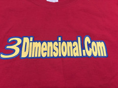 Pontiac Trans Am Graphic T Shirt 3-Dimensional Services Champions 2013-2014