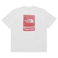 Supreme The North Face S/S Top White SS24