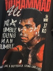 Muhammed Ali Official Xl Mens Tshirt “Rumble Young Man Rumble ” 56 Wins 37 Kos