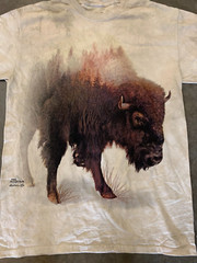 The Mountain Men’s T Shirt M MEDIUM buffalo USA Tie Dye new andrews lie