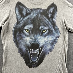 Diesel Shirt Mens Large Gray Short Sleeve Crewneck Nature Wolf Graphic Tee Top