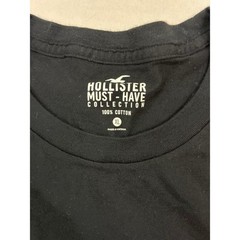 Hollister Must-Have Collection Black Crewneck T-Shirt Red Seagull Logo Mens XL