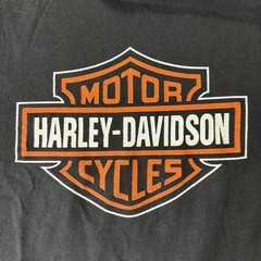 Vintage Harley Davidson Chicago Home of the Blues T Shirt Holoubek Large USA