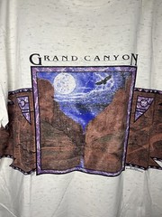 Vintage 1993 Grand Canyon Art Wrap Around AOP T-Shirt XL Outdoor Nature Eagle