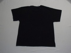 Great Wolf Lodge Niagara Falls Canada shirt (adult L)