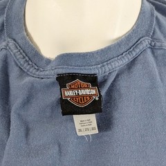 Harley Davidson Motorcycle T Shirt Size XXL Hillbilly Gatlinburg Tennessee Tee