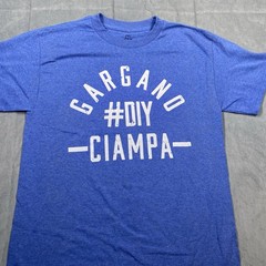 WWE NXT Johnny Gargano Tomasso Ciampa Shirt Men’s Small Blue #DIY Tag Team NWOT