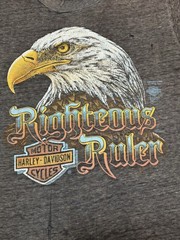 Vintage 3D Emblem Harley Davidson Shirt Righteous Ruler Eagle 80’s Biker Thin