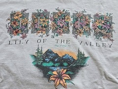 Vintage 90s Jesus Lily of the Valley Shirt L Fruit of the Loom Living Epistles