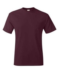 Hanes Mens Short Sleeve Tagless T 100% Cotton Crew Neck T-Shirt 5250