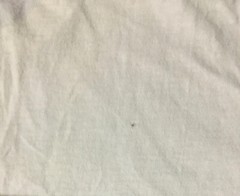 Vtg 90s Im On A 30 Day Diet Ive Lost 15 Days Faded Shirt M Sarcasm Funny Saying