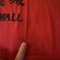Vtg 90s I Climbed The Great Wall Of China Thin T-Shirt Red L XL XXL