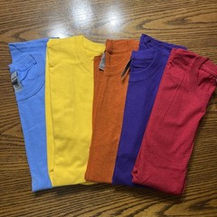Gilden Heavy Cotton T-shirts Multicolors Size Large No Pocket Set Of Five