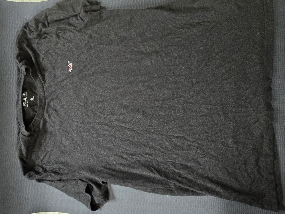 Hollister Must-Have Collection Men’s Gray Solid Logo Crew Neck T-Shirt M