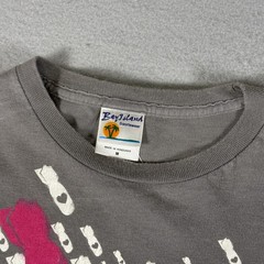 Fallout Boy T-Shirt Men’s M Grey Band Music Vintage Y2K