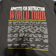 Large Guns And Roses Tee