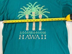 Vintage 90s single stitch blue green Hawaii gold foil palm trees sz L graphic