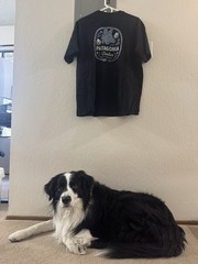 Patagonia Responsibili-Tee Dallas Wolf Graphic T-Shirt Black Men’s M 37728 BLK