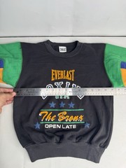 Everlast Boxing Gym The Bronx Colorblock Crewneck Sweatshirt Youth M-L 90s