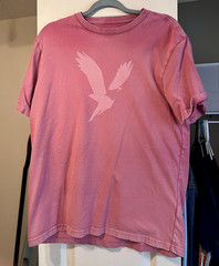 American Eagle Super Soft Men’s Pink Graphic Logo Crew Neck T-Shirt, M
