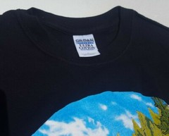 Vtg Train T Shirt. Rio Grande 5711. Daylight Sales.