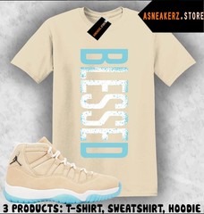 Shirt To Match AJ 11 H-Town Houston Sneaker Matching Tee VERTBLS Blessed T-Shirt