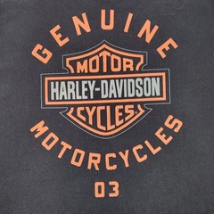 Harley-Davidson Men’s L Short Sleeve Graphic T-Shirt Color Block Logo Biker