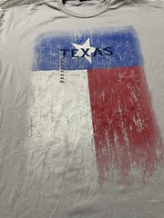 Gildan Sofstyle Cvc Texas Print New Mens Crew Neck Short Sleeve Gray T Shirt XL
