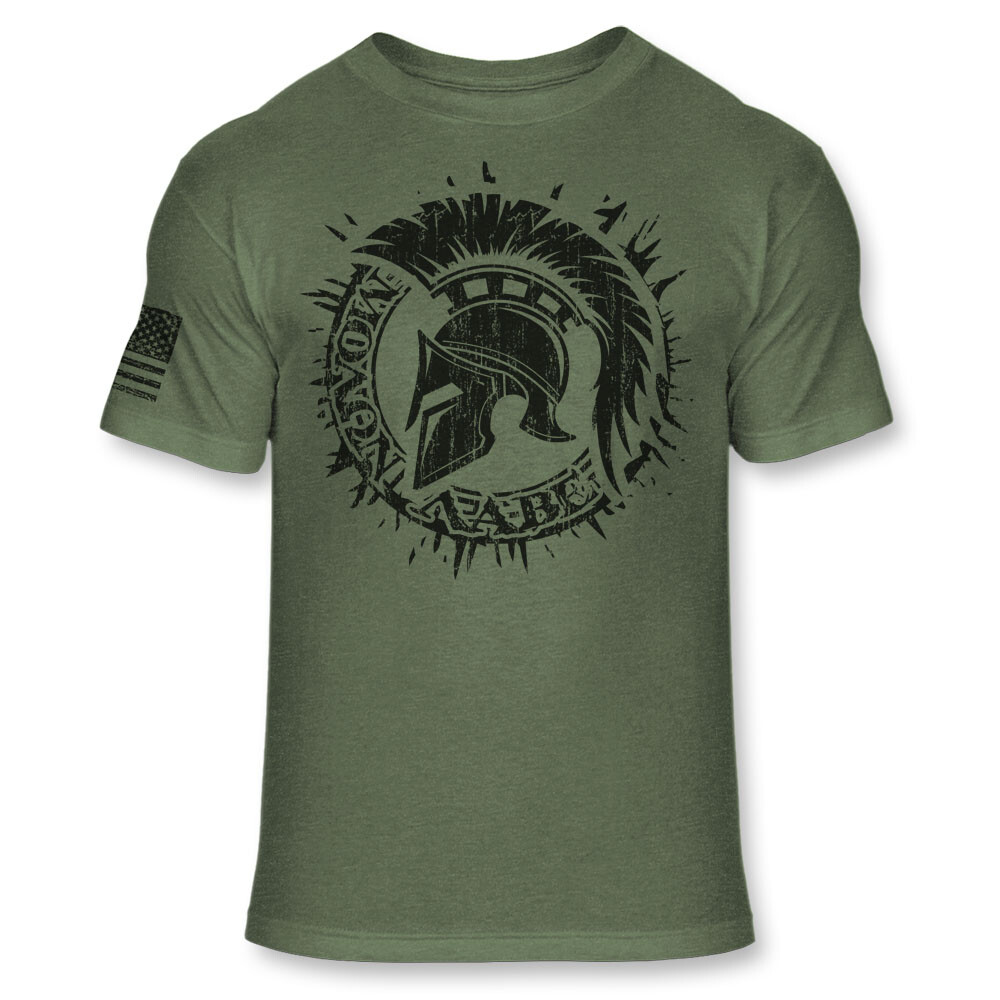 American Spartan Warrior T-Shirt Patriotic Molon Labe Athletic Blend Shirt A198
