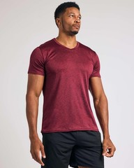 5 Pack: Men’s V-Neck Dry-Fit Moisture Wicking Active Athletic Tech Performanc…