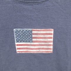 Lands’ End Mens Shirt Large 100% Cotton Short Sleeve American Flag Patriotic