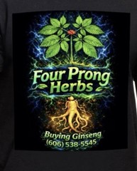 Four Prong Herbs Ginseng Shirt Unisex XL Black Gildan Graphic Tee NWT