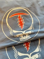 Telluride T Bolt Ride Shirt – Denim