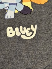 NWT Mens size S Heather Blue BLUEY Family Graphic T-Shirt ~ Bingo Chilli Bandit