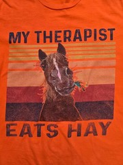 My Therapist Eats Hay Horse Graphic T-Shirt XL Orange Funny Equestrian 100% Cott