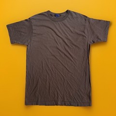 Vintage 90s BVD Blank Single-Stitch T-Shirt XL USA Brown Grunge Punk Rock Tee