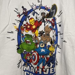 Marvel Comics Superhero’s Short Sleeve T Shirt, White, Youth Large