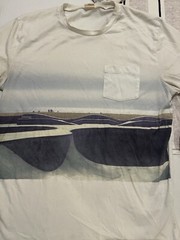 (2) LOT Hollister Must Have Collection Shirt Large Colorblock Script Spellout