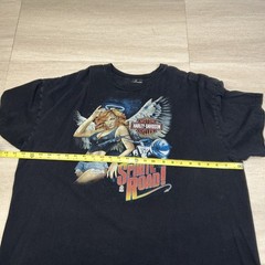 Vintage Y2k Harley Davidson Tee Shirt Size 2XL(?) Pin Up See Pics For Size