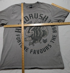 HEADRUSH FORTUNE FAVORS THE BRAVE x FEAR NONE – Men 2XL Gray T-Shirt