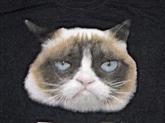 Grumpy Cat “NO” T-shirt ~ Black ~ Unisex Adult ~ Sz L ~ Chest 43 in
