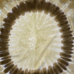 Sun Dog T Shirt Swirl Pattern Hand Dyed Tie Dye Neutral Hippie Cook Forest XL