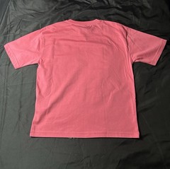 Southpole Authentic Collection Pink Logo Graphic Crew Neck Tee Men’s S