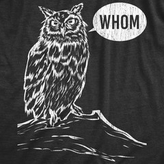 Mens Whom Owl T Shirt Funny Grammar Nerd Sarcastic Graphic Novelty Tee
