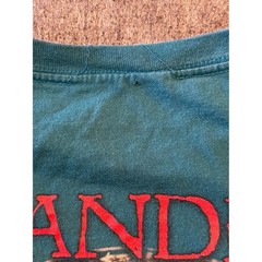 Harley Davidson Chandler Arizona Rattlesnake Long Sleeve T-Shirt Teal Mens XL